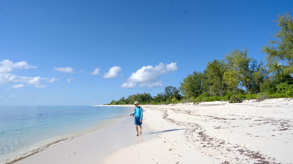 Foto 11: Bird Island Seychelles - Bird Island (Seychelles)