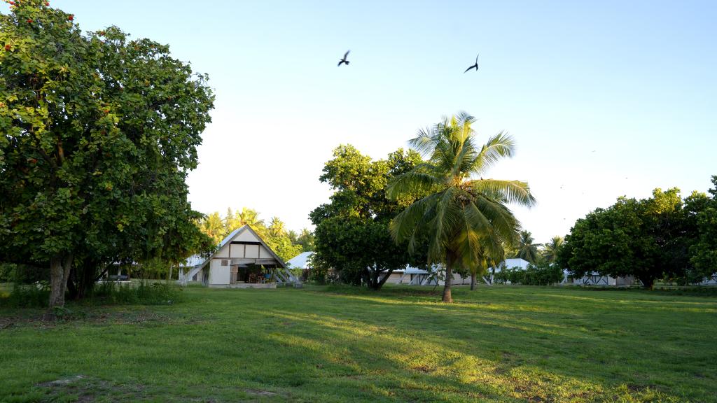 Foto 13: Bird Island Seychelles - Bird Island (Seychelles)