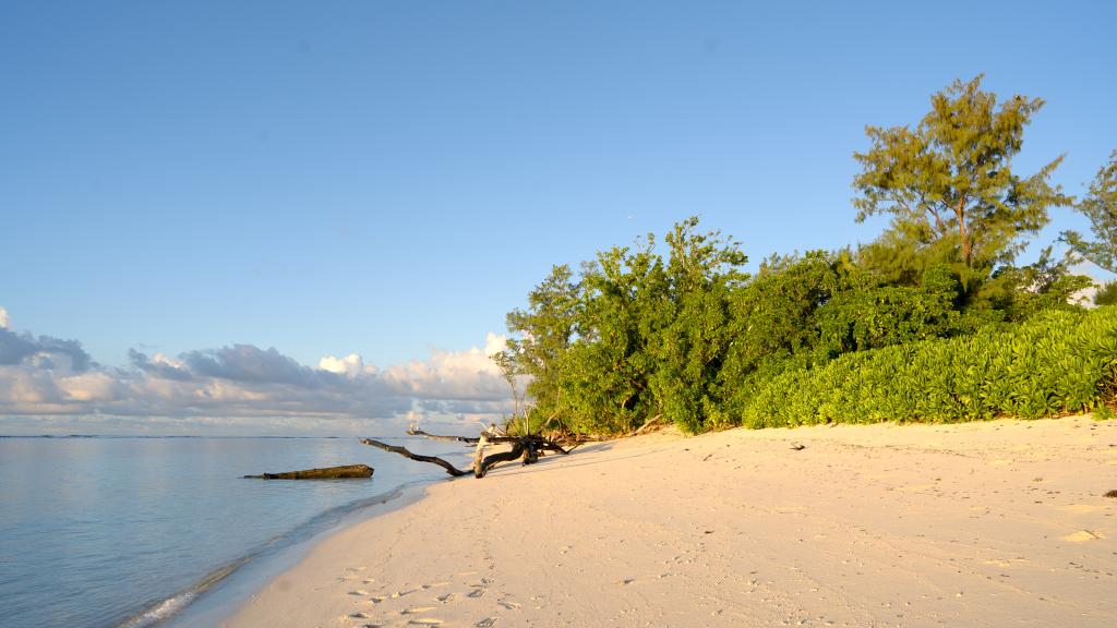 Foto 88: Bird Island Seychelles - Bird Island (Seychelles)