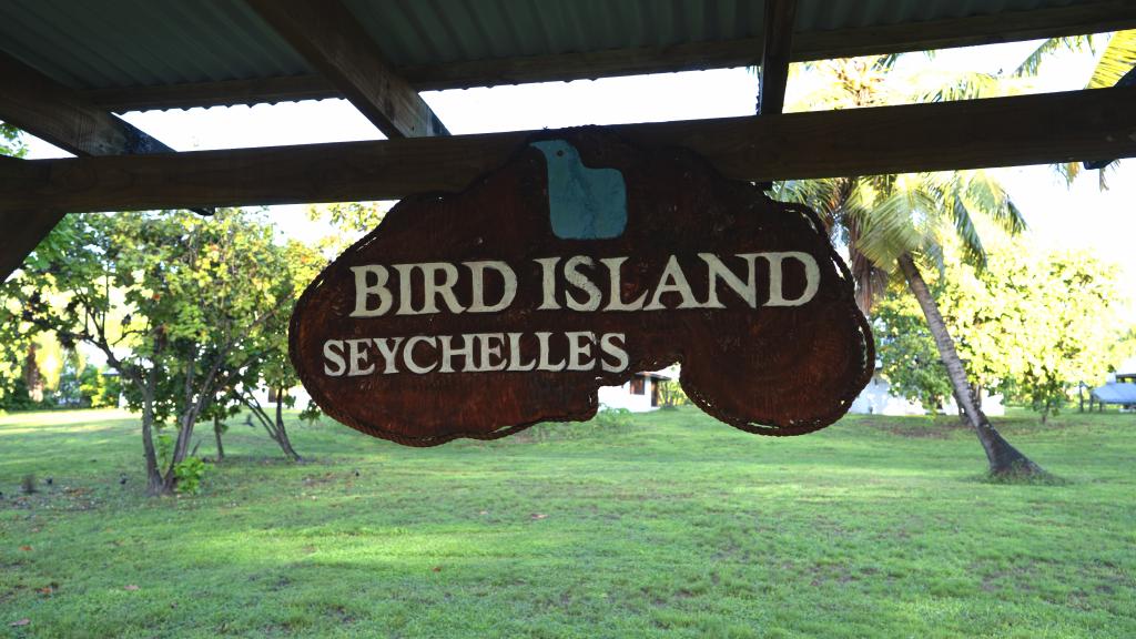 Foto 6: Bird Island Seychelles - Bird Island (Seychelles)