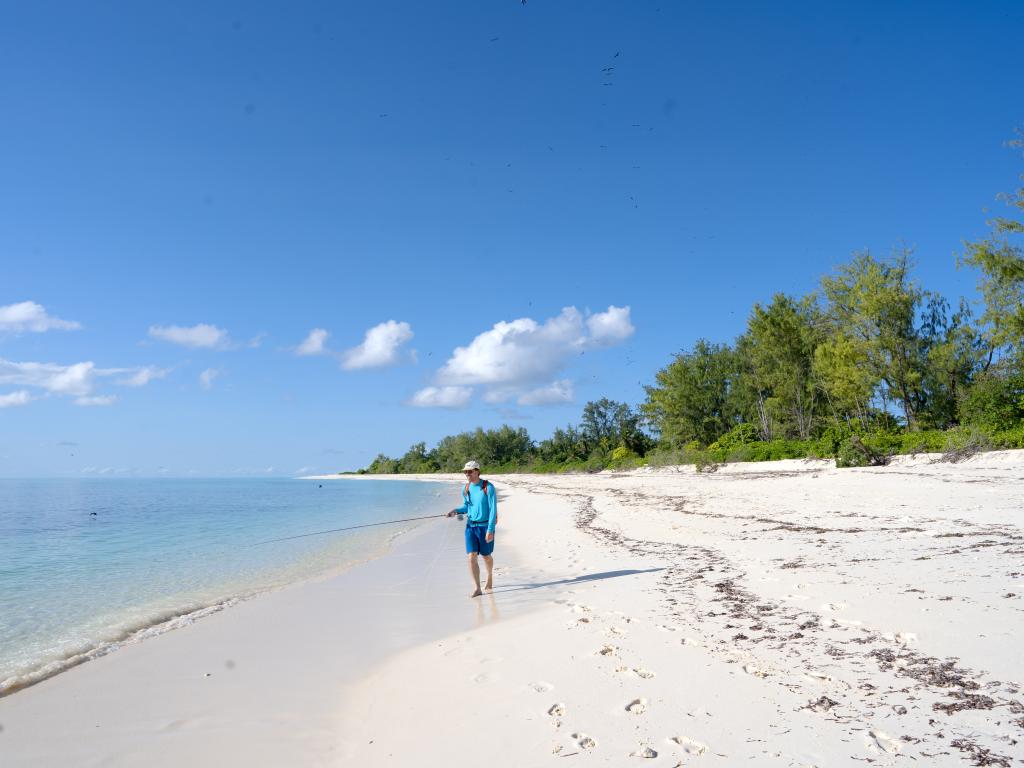 Bird Island Seychelles - Photo 8