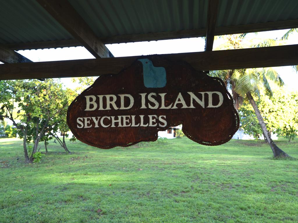 Bird Island Seychelles - Foto 6