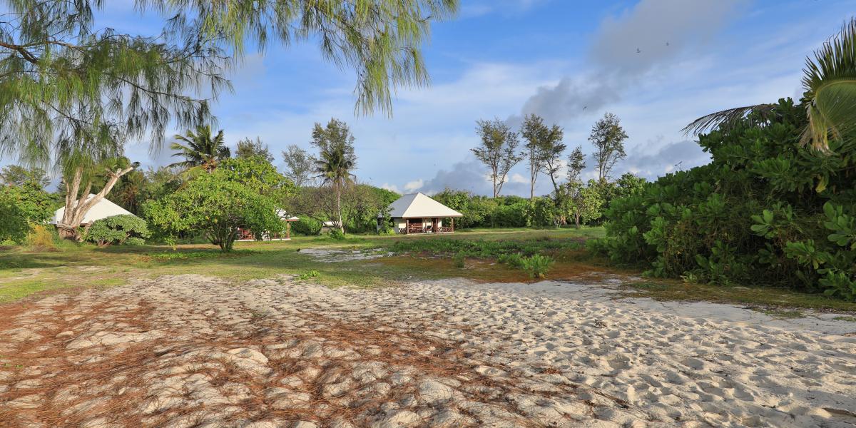 Bird Island Seychelles
