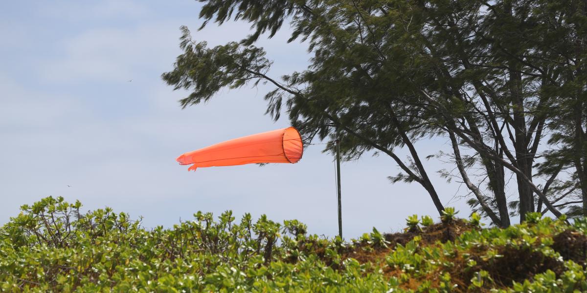 Bird Island Seychelles