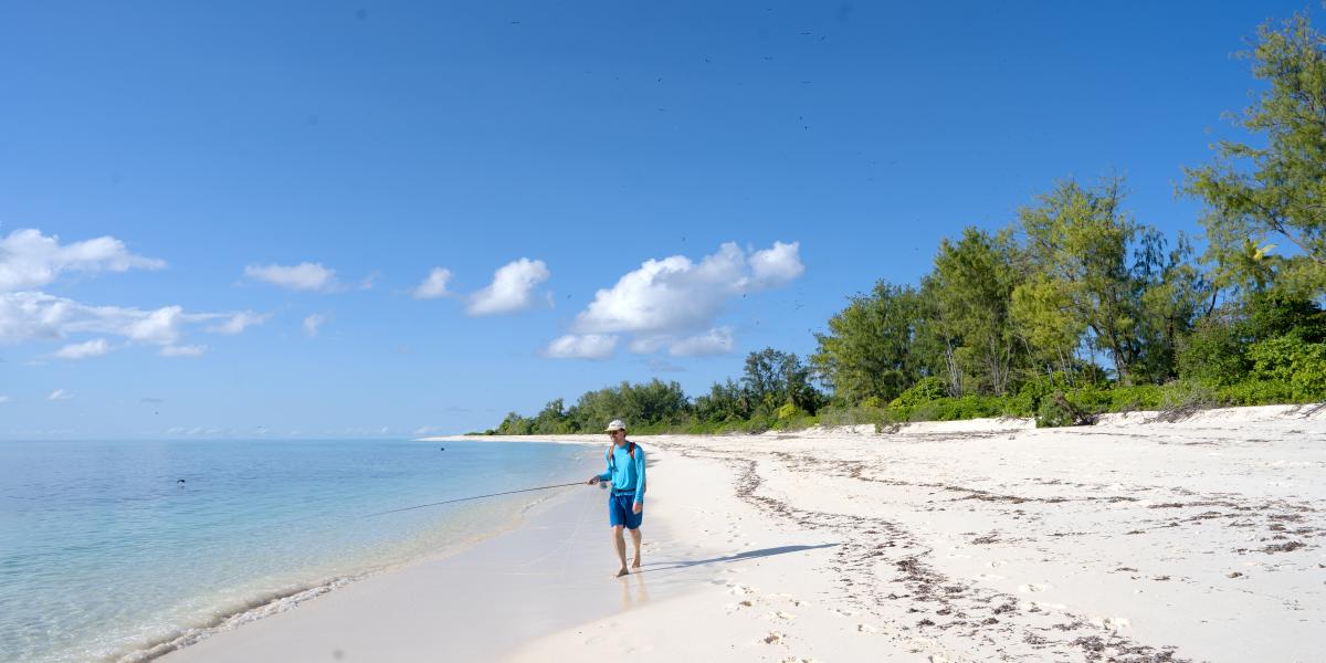 Bird Island Seychelles