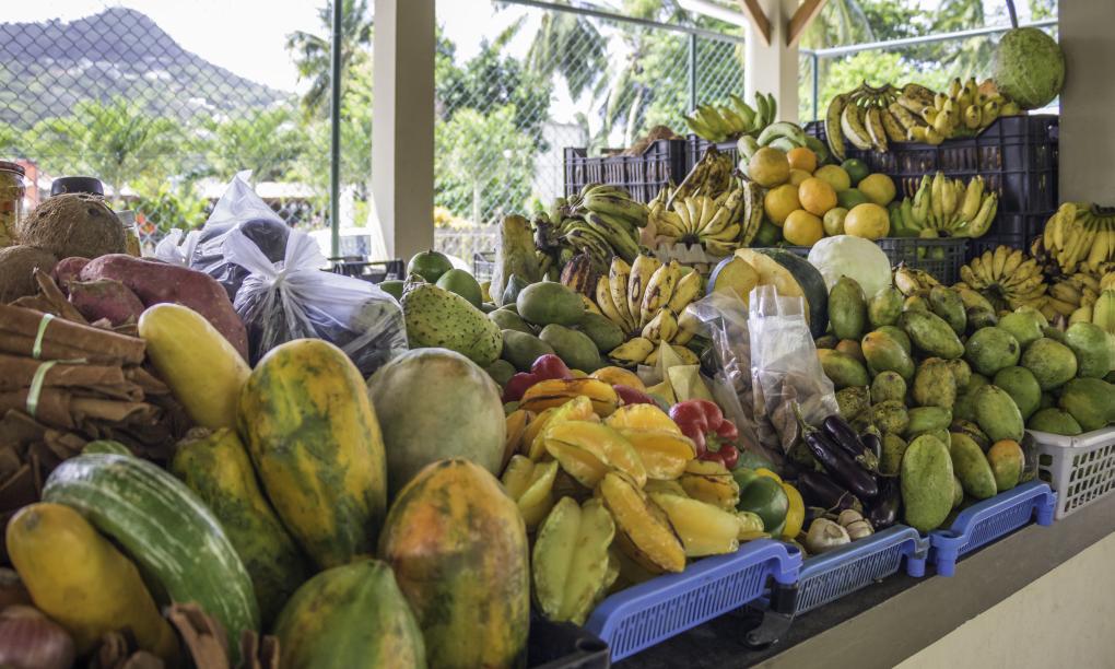 Felicie Cottage & Residence (Seychelles)