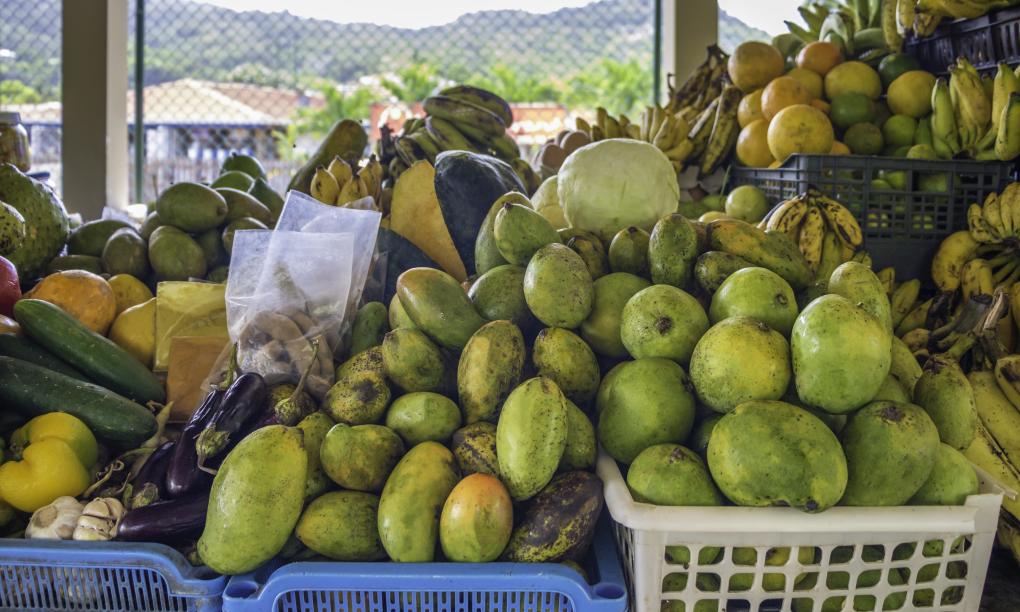 Felicie Cottage & Residence (Seychelles)