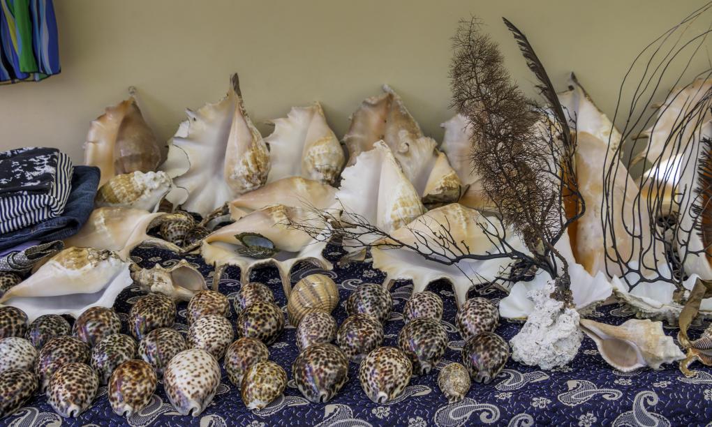 Felicie Cottage & Residence (Seychelles)