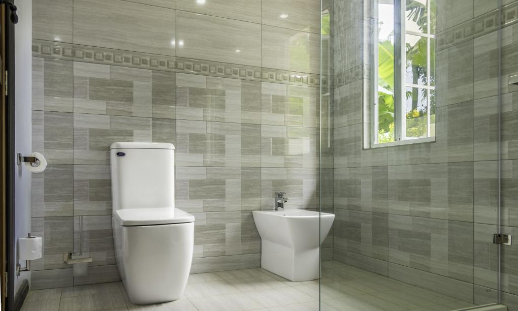 Felicie Cottage & Residence (Seychelles) - Cottage Frangipan