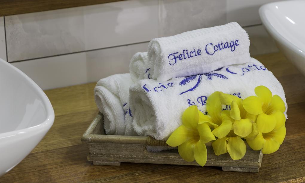 Felicie Cottage & Residence (Seychelles) - Cottage Hibiscus