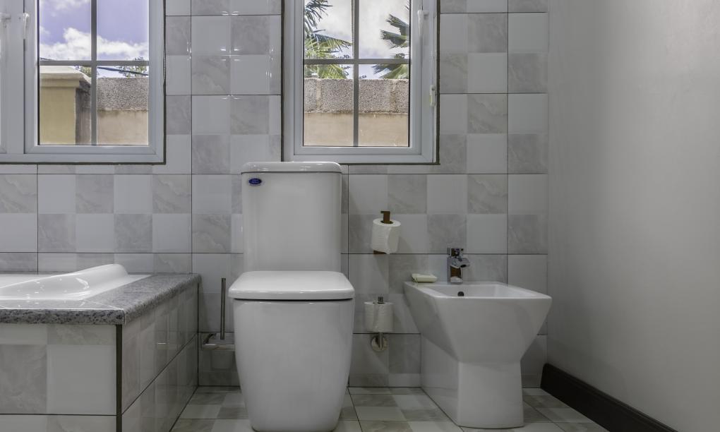 Felicie Cottage & Residence (Seychelles) - Cottage Hibiscus