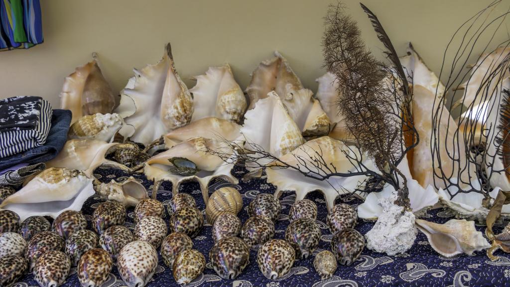 Foto 13: Felicie Cottage & Residence (Seychelles) - Mahé (Seychellen)