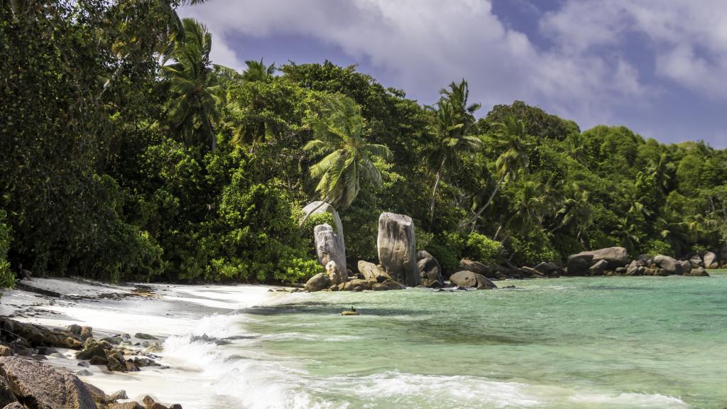 Foto 9: Felicie Cottage & Residence (Seychelles) - Mahé (Seychellen)