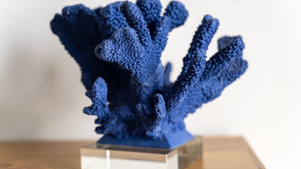 Foto 77: Villa Roscia - Mahé (Seychellen)