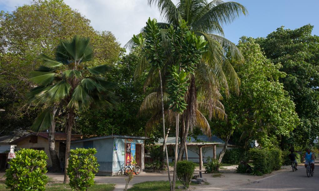 Linsen Self Catering Apartments