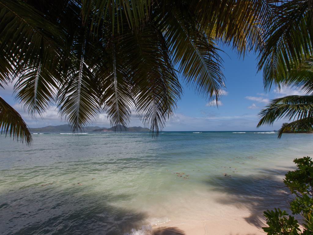 Linsen Self Catering Apartments - Photo 7