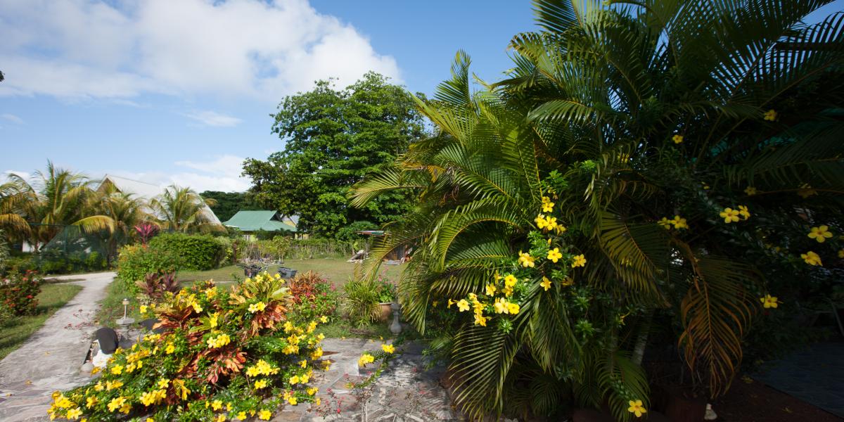 Linsen Self Catering Apartments