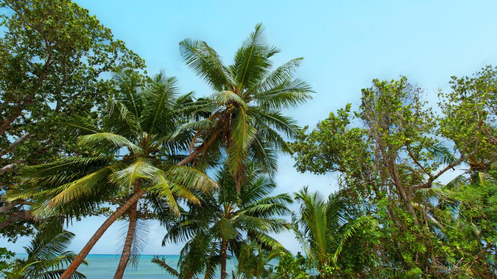 Foto 58: Villa Saint Sauveur - Praslin (Seychelles)