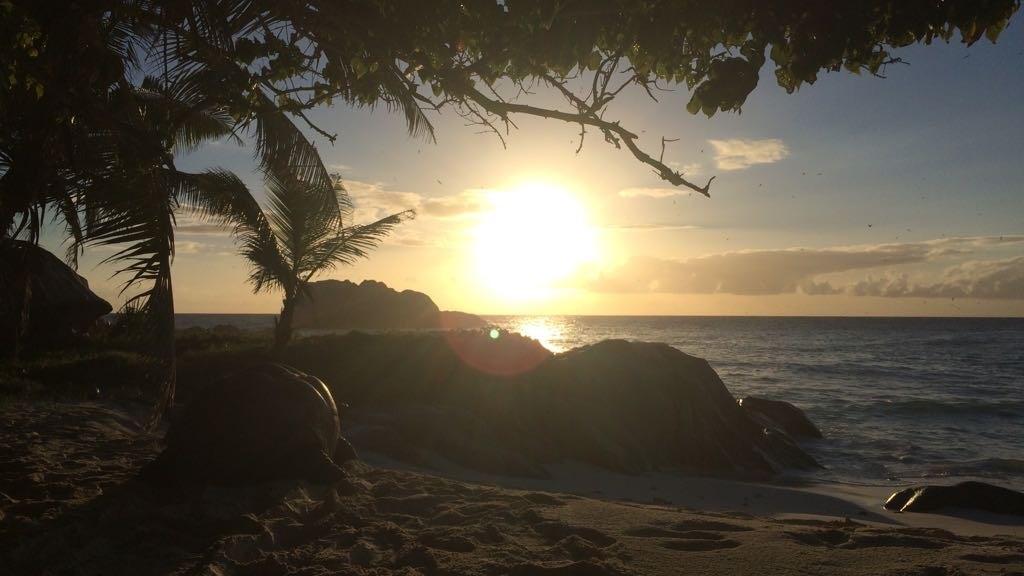 Foto 40: Cousine Island Seychelles - Cousine (Seychellen)