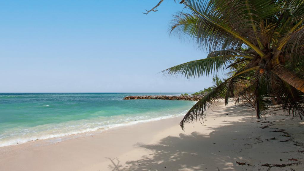 Photo 38: Villa Admiral - Praslin (Seychelles)