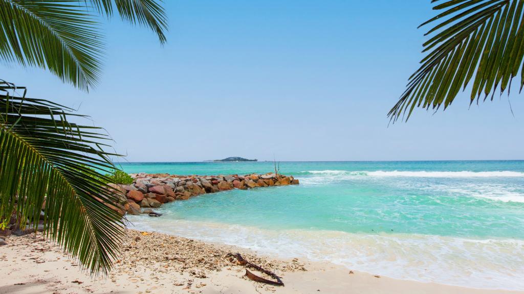 Photo 40: Villa Admiral - Praslin (Seychelles)