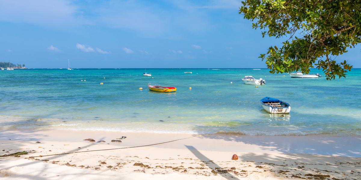 Coco Blanche (Maison Coco)