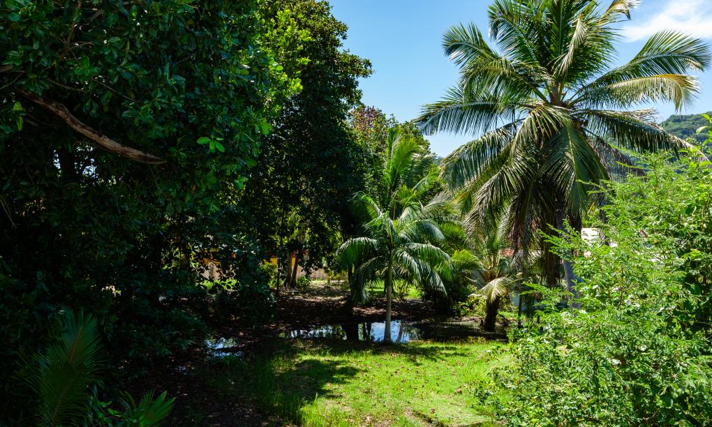 Rising Sun Guesthouse