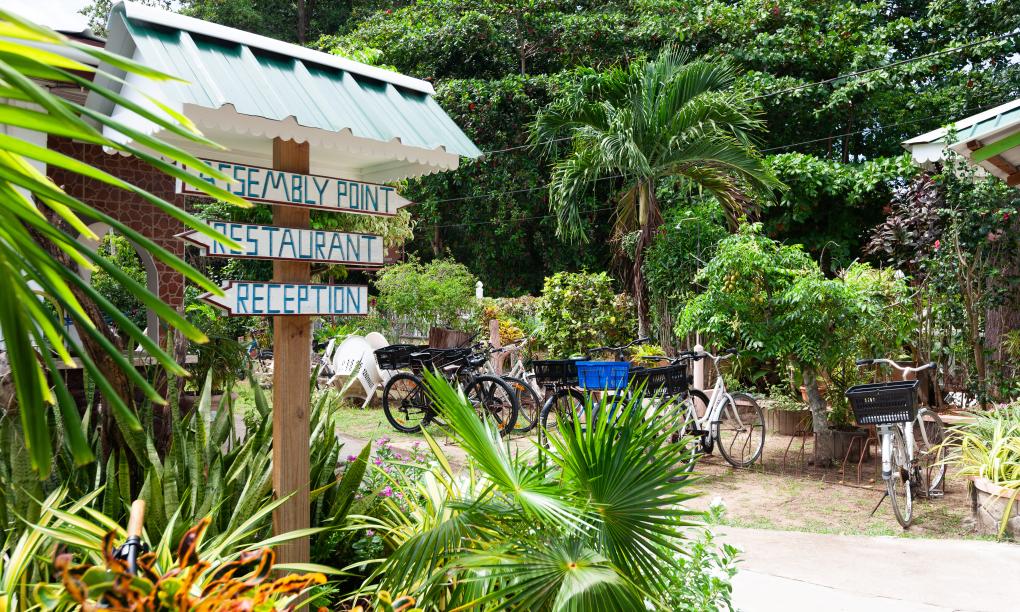 Rising Sun Guesthouse