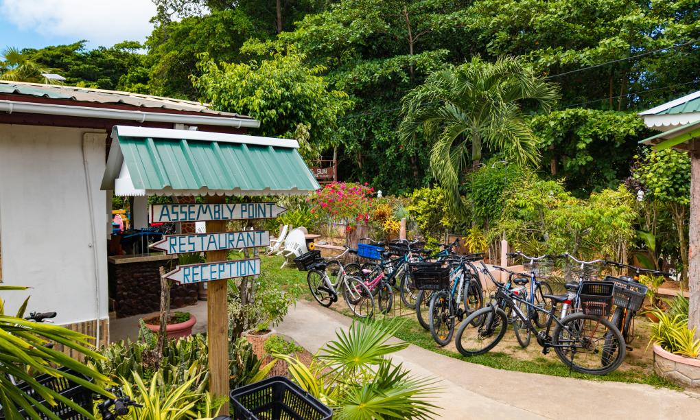 Rising Sun Guesthouse