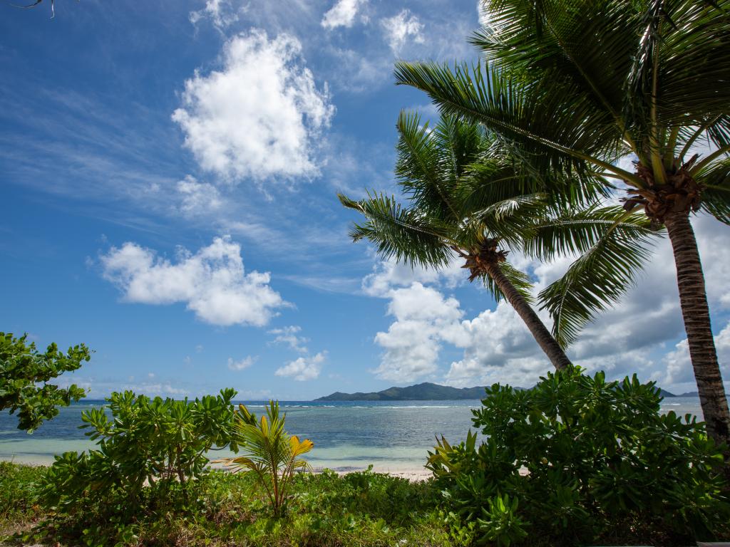 Rising Sun Guesthouse - Photo 7