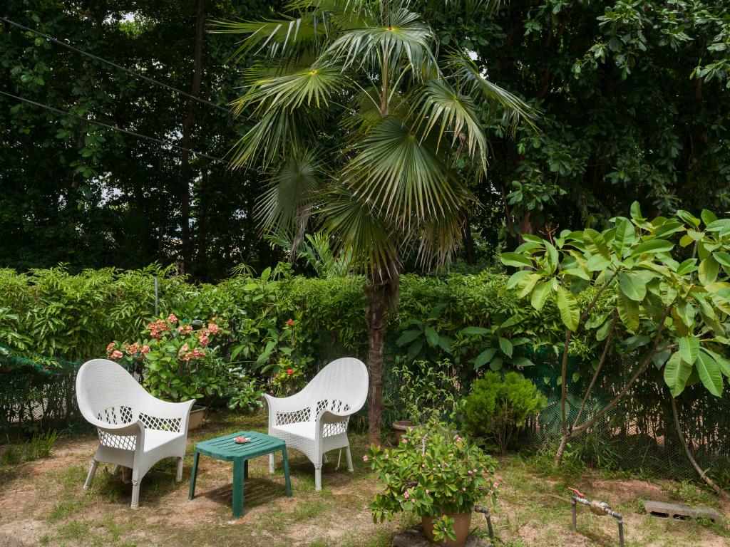 Rising Sun Guesthouse - Photo 5