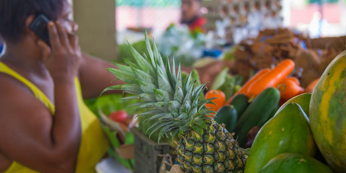 Le Nautique Luxury Beachfront Apartments