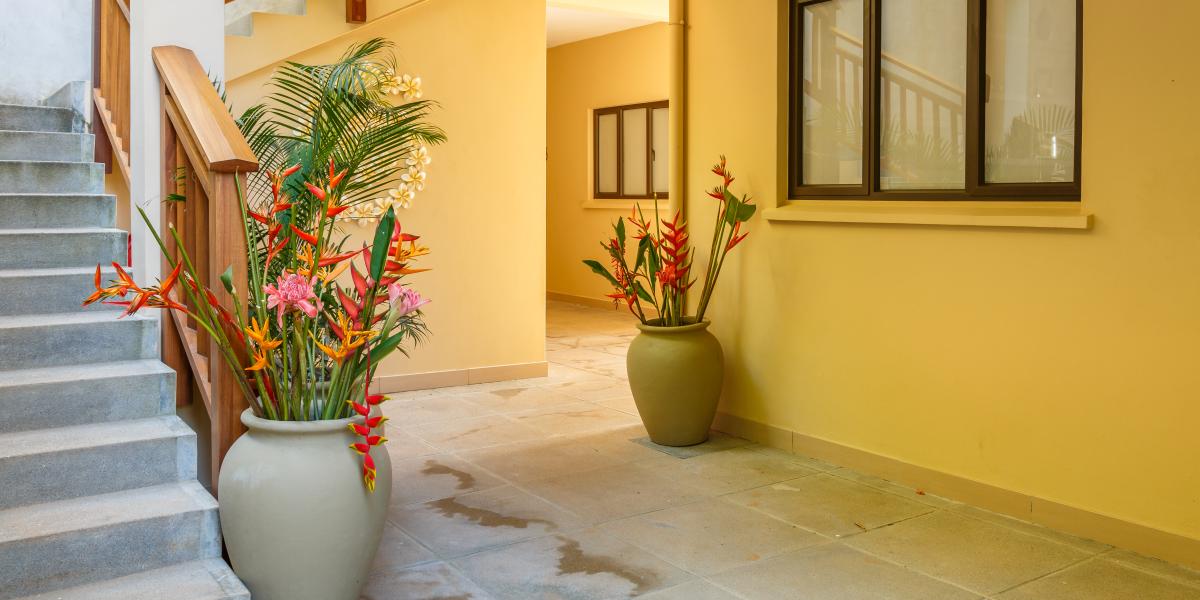 Eden Hills Residence