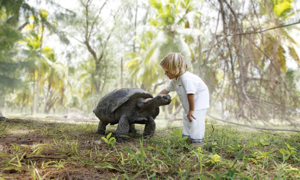 Four Seasons Resort Desroches Island