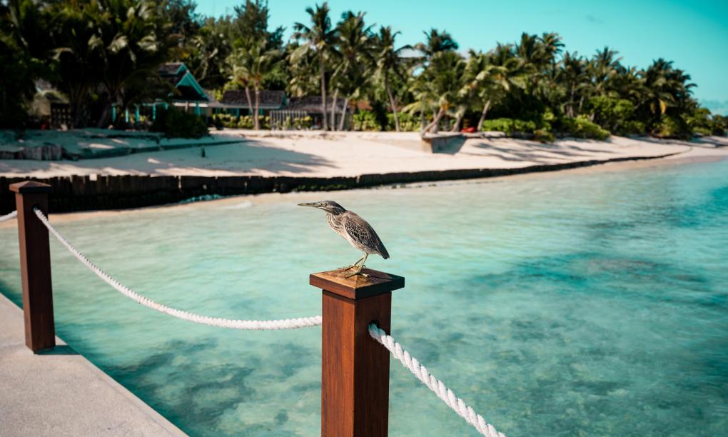 Four Seasons Resort Desroches Island