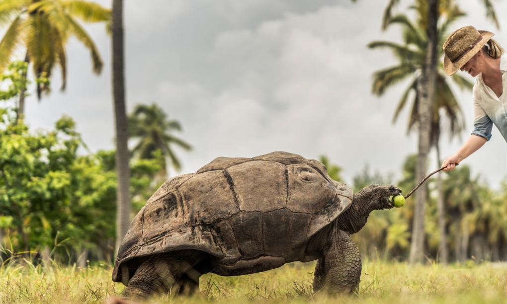 Four Seasons Resort Desroches Island