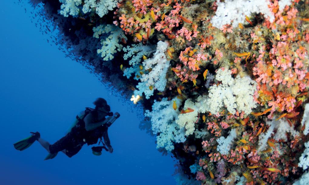 Four Seasons Resort Desroches Island