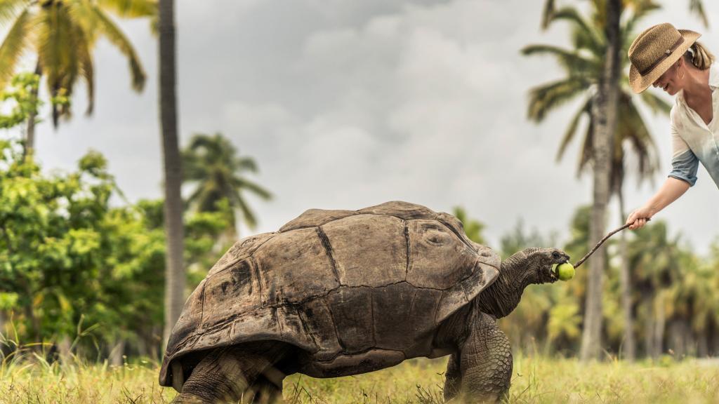 Foto 84: Four Seasons Resort Desroches Island - Desroches Island (Seychelles)