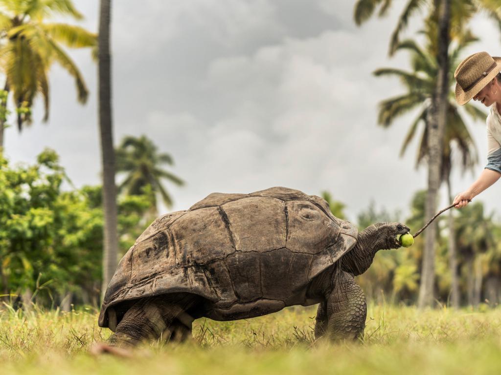 Four Seasons Resort Desroches Island - Photo 5