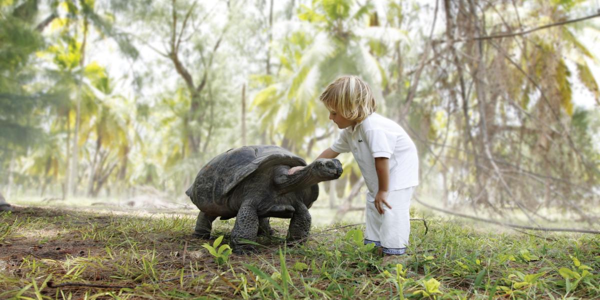 Four Seasons Resort Desroches Island