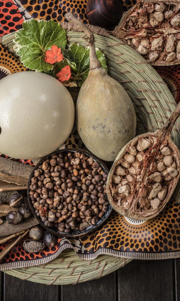 Four Seasons Resort Desroches Island