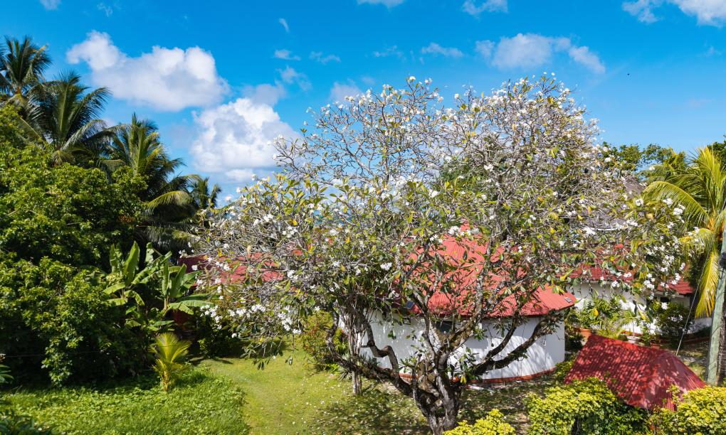 Beach Villa Guesthouse