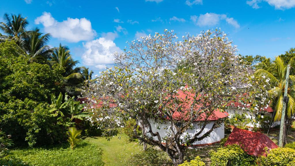 Foto 19: Beach Villa Guesthouse - Praslin (Seychelles)