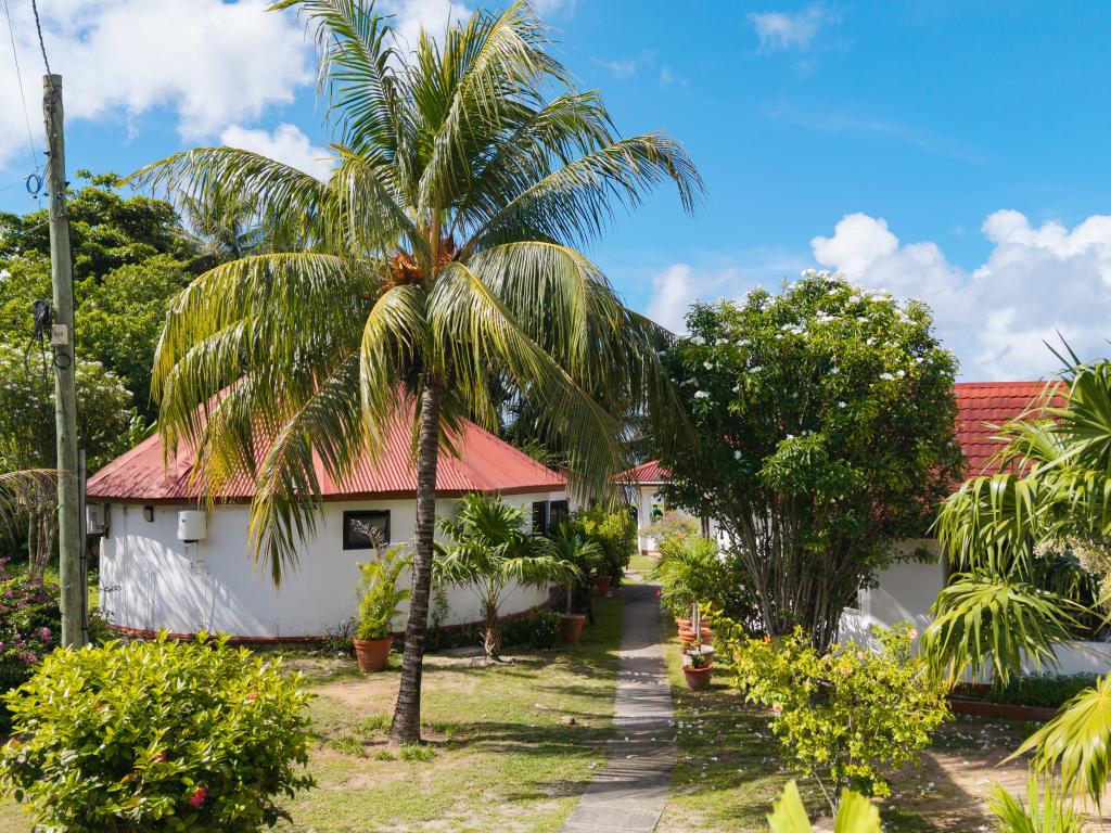 Beach Villa Guesthouse - Foto 3