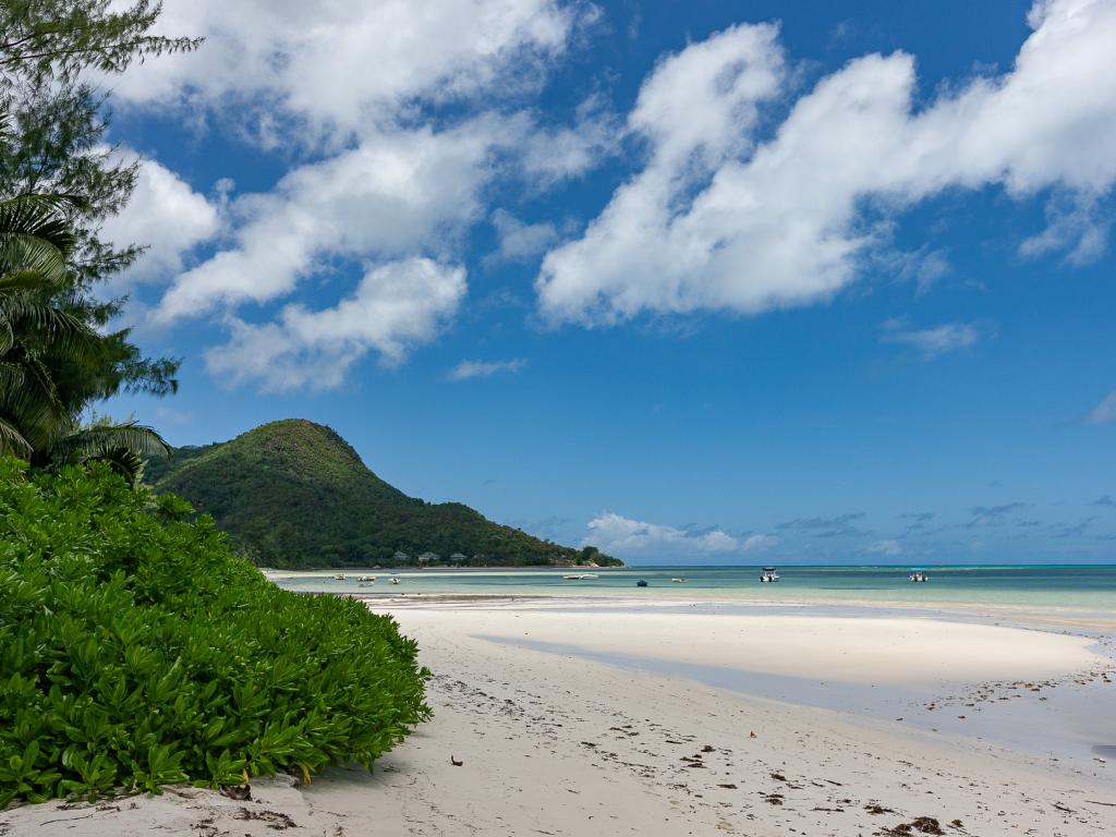 Beach Villa Guesthouse - Foto 4