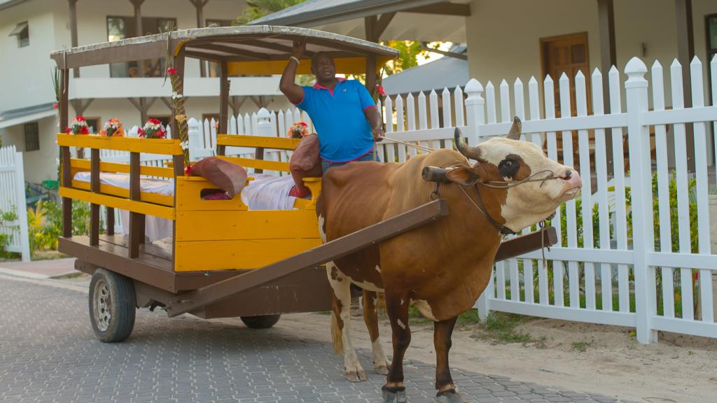 Photo 58: Le Nautique Luxury Waterfront Hotel - La Digue (Seychelles)