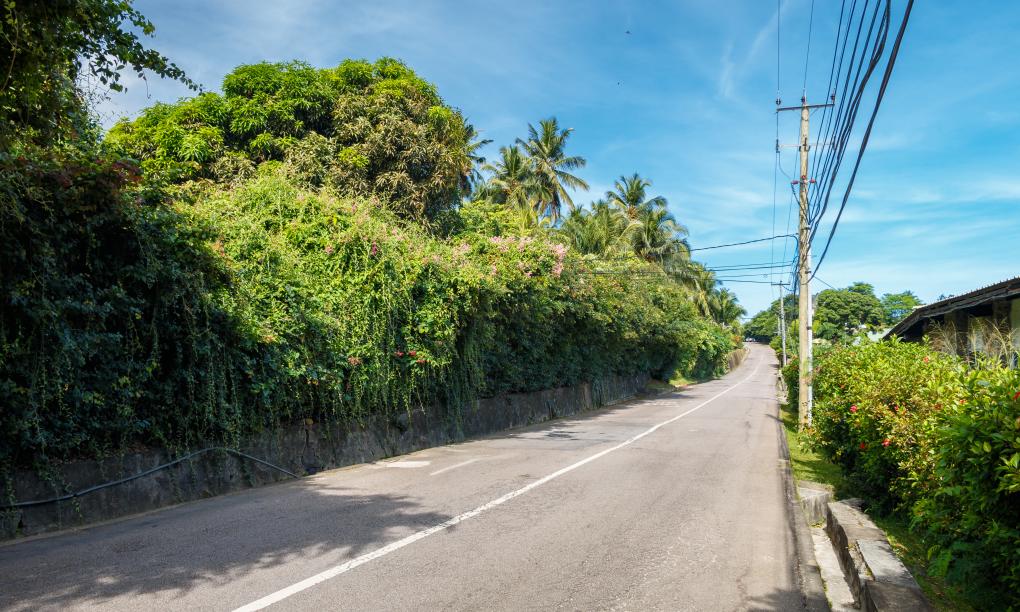 Frangipani Self-catering Holiday Apartment