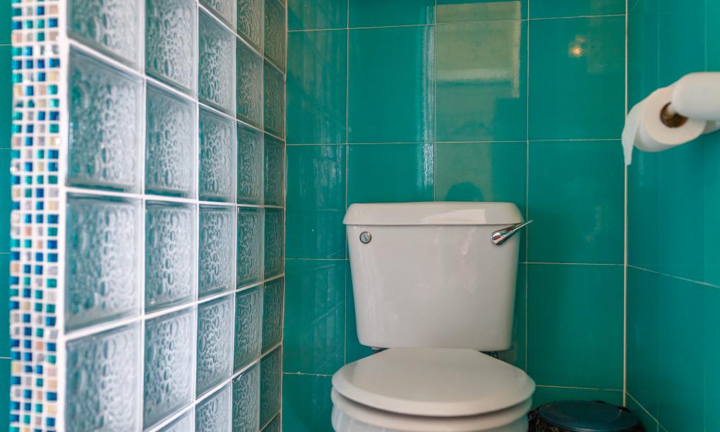 Frangipani Self-catering Holiday Apartment - Appartamento Studio