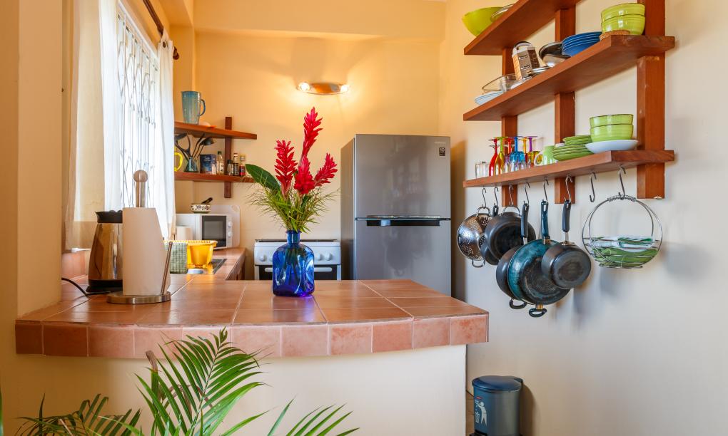 Frangipani Self-catering Holiday Apartment - Appartamento Studio