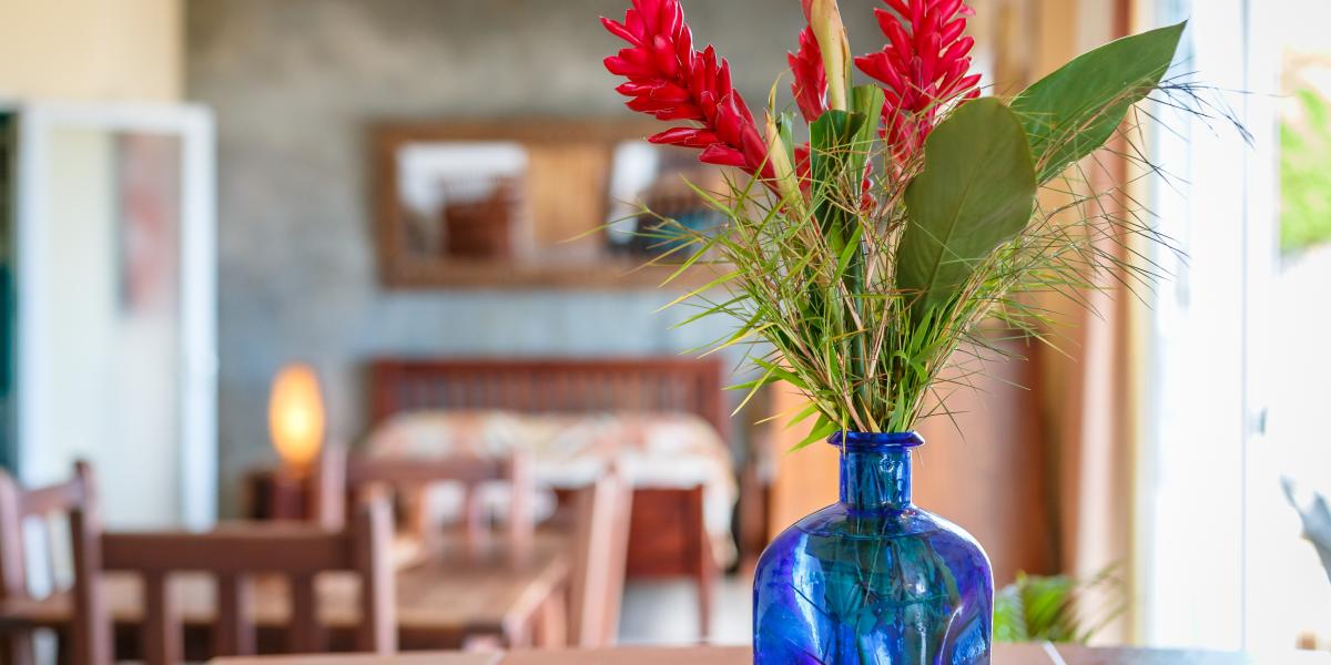 Frangipani Self-catering Holiday Apartment - Appartamento Studio